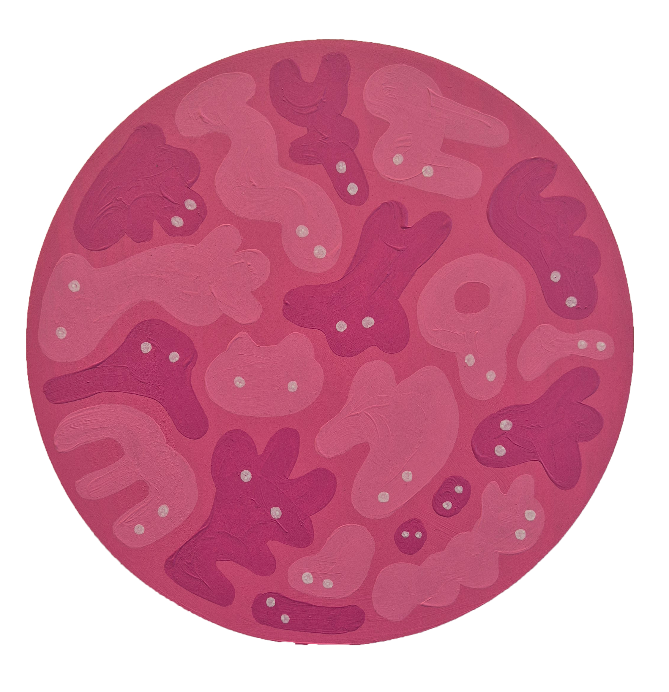 Liddle „Magenta“ Lads